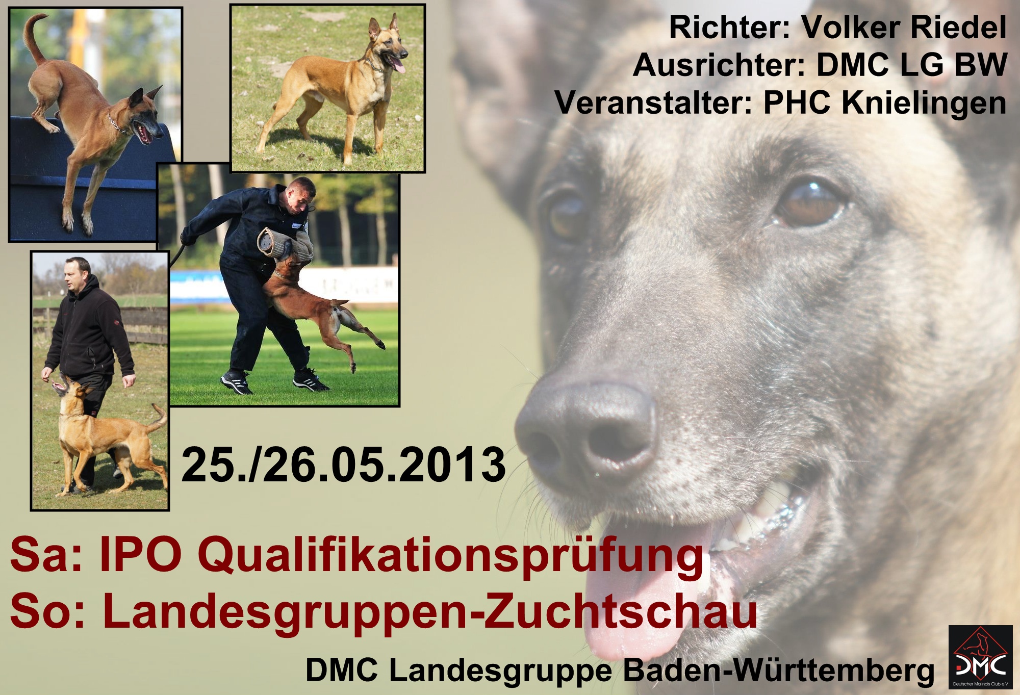 Ausschreibung Quali und Schau